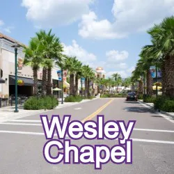 Wesley Chapel Florida Homes for Sale