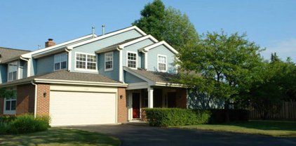 1721 W Orchard Place Unit #1721, Arlington Heights