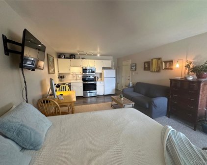 1133 Straight Creek Drive Unit 204, Dillon