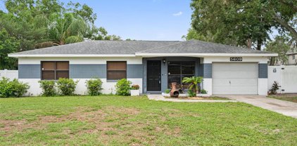 5609 Neal Drive, Tampa