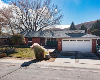 1307 Angels Camp Drive, Carson City