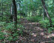 0000 Green Hollow  Lane, Brevard image