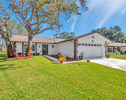 8727 Benton Drive, Port Richey