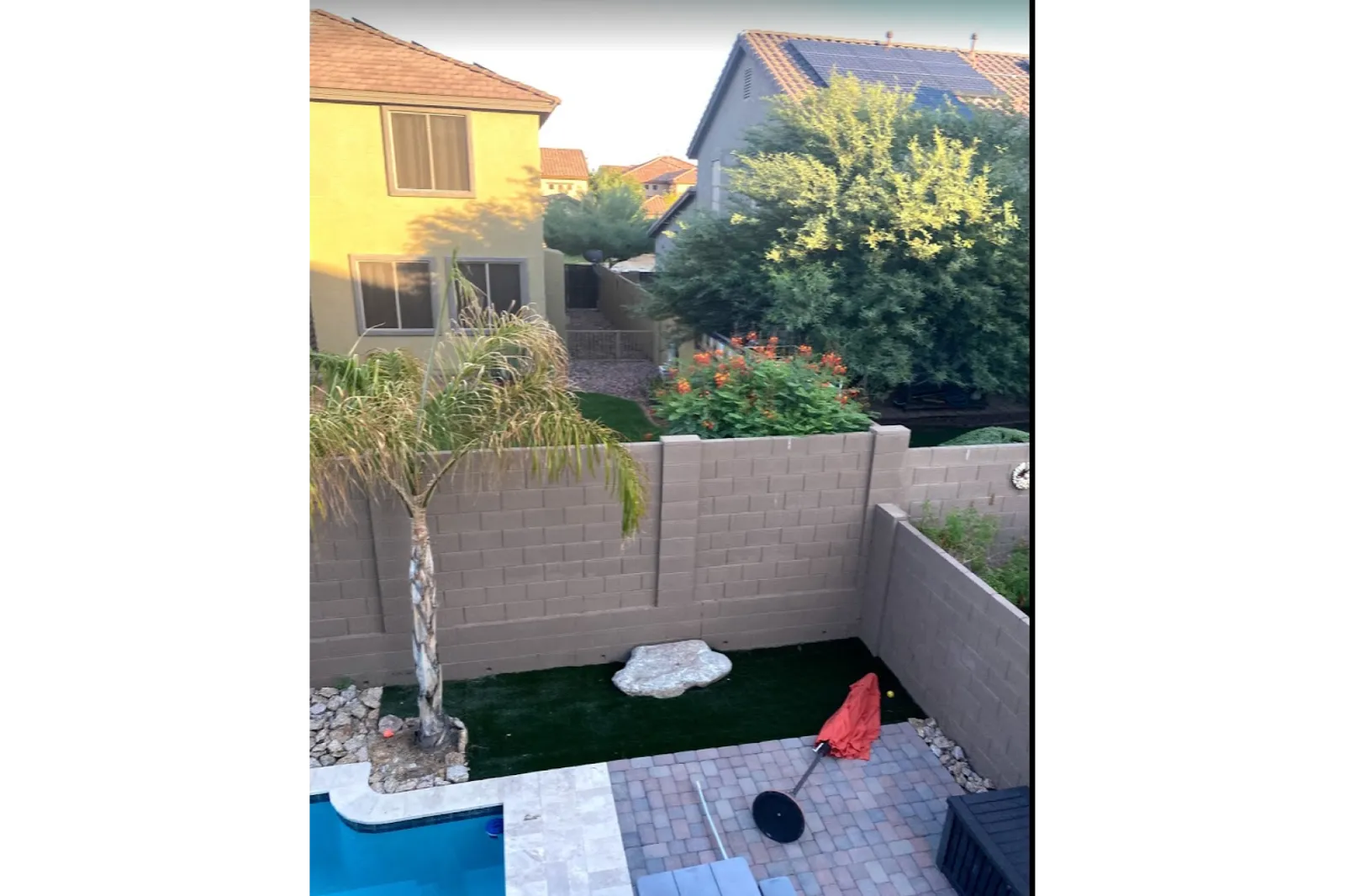 Backyard