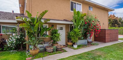 4435 Diamond ST 3, Capitola