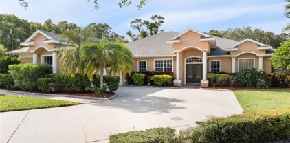 2223 Serenity Lane, Palm Harbor