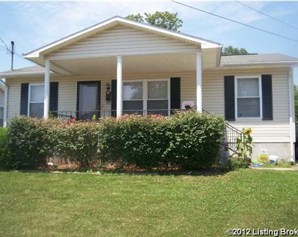 923 College St, Shelbyville
