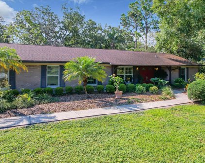 8467 Race Track Road, Tampa
