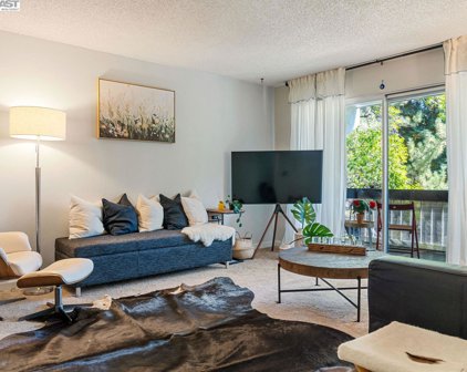1591 Ellis St Unit #219, Concord