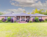 248 W Crestside, Alexander image