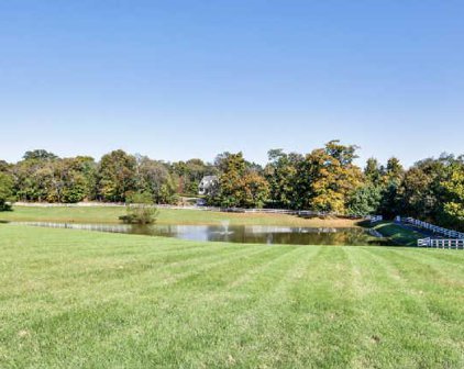 9570 Liberty Church Rd, Brentwood