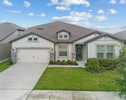 9647 Ibis Grove Boulevard, Wesley Chapel image