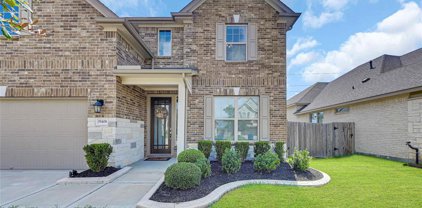 19406 Lake Ridge Drive, Manvel