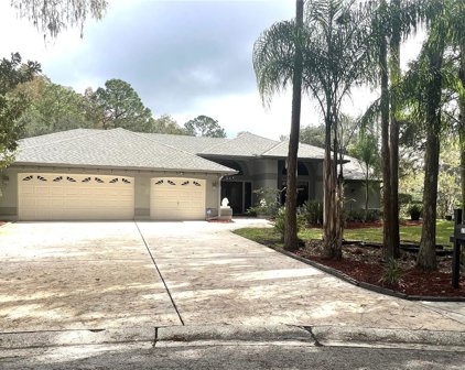 3101 Valemoor Drive, Palm Harbor