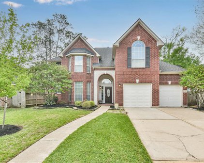 15411 Lakeport Crossing Drive, Cypress
