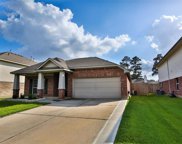 19331 Dolan Springs Drive, Tomball image