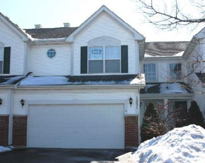 1251 Horseshoe Lane Unit #1251, Bartlett