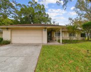 16501 Lonesdale Place, Tampa image