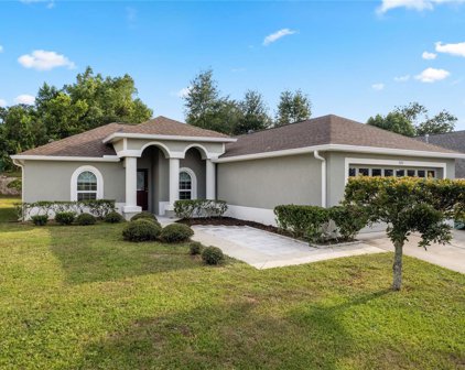 3151 Lindera Drive, Deltona