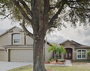 17717 Currie Ford Drive, Lutz image