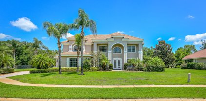 12221 Grandmere Court, Windermere