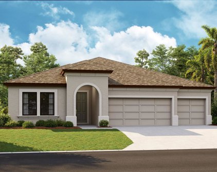 6111 Hidden Branch Drive, Apollo Beach