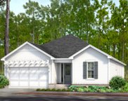 TBD Suwanne Drive Unit #Lot 19, Watersound image