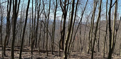 00 Beech Creek Mountain Road, Beech Creek