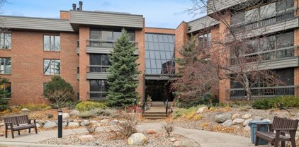 7250 Lewis Ridge Parkway Unit #213, Edina