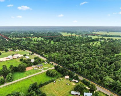 Spring Branch Road, Montgomery