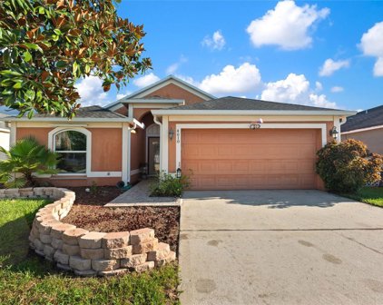 4610 Tucson Court, Valrico