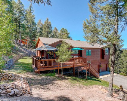 27882 Bonanza Drive, Evergreen