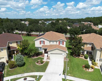 4807 White Bay Circle, Wesley Chapel
