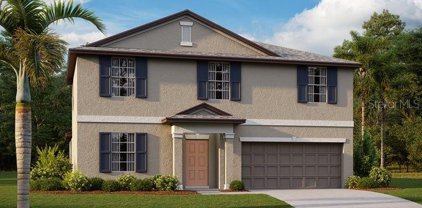 9825 Branching Ship Trace, Wesley Chapel