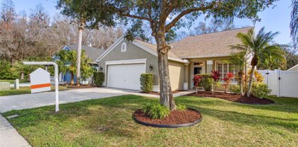 418 Cypress View Drive, Oldsmar