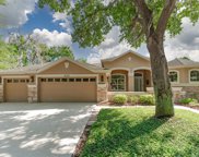 6122 Ibispark Drive, Lithia image