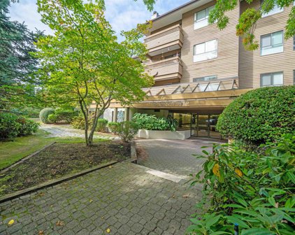 7431 Minoru Boulevard Unit 318, Richmond