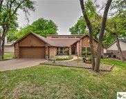 3514 Wolverine Trail, Temple image