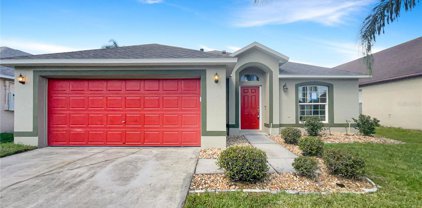 29249 Birds Eye Drive, Wesley Chapel