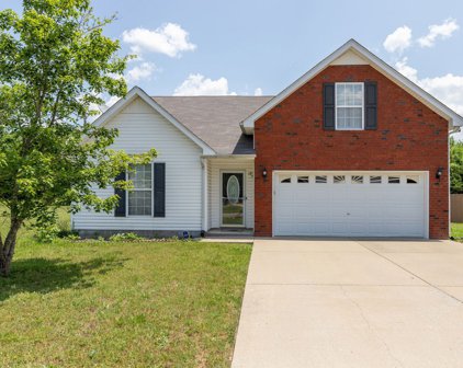 114 Macaw Ln, La Vergne