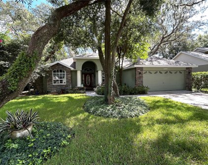 1019 Legends Pass Drive, Valrico