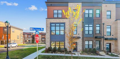 3752 Blue Lobelia Way, Rockville