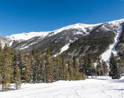 415 Born Club  Drive, Copper Mountain