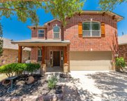 12135 Sugarberry Way, San Antonio image
