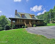 125 Lovely Bluff Rd, Rocky Top image