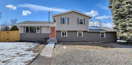 4675 Whimsical Drive, Colorado Springs