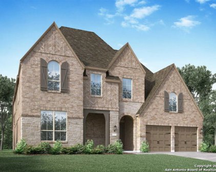 10031 Ellenora, Boerne