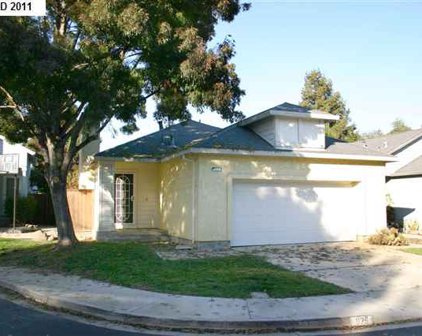 935 Antelope Terrace, Brentwood