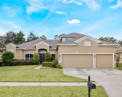 3364 Tumbling River Drive, Clermont