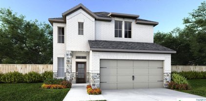 12419 Cotorra Springs, San Antonio